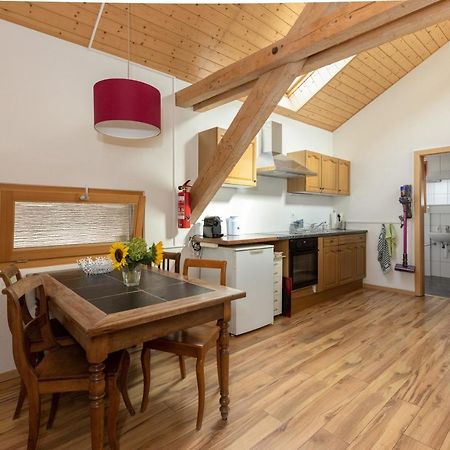 Guesthouse La Moliere, 3 Bedrooms, Private House, Horse Farm, Full Nature Murist Dış mekan fotoğraf