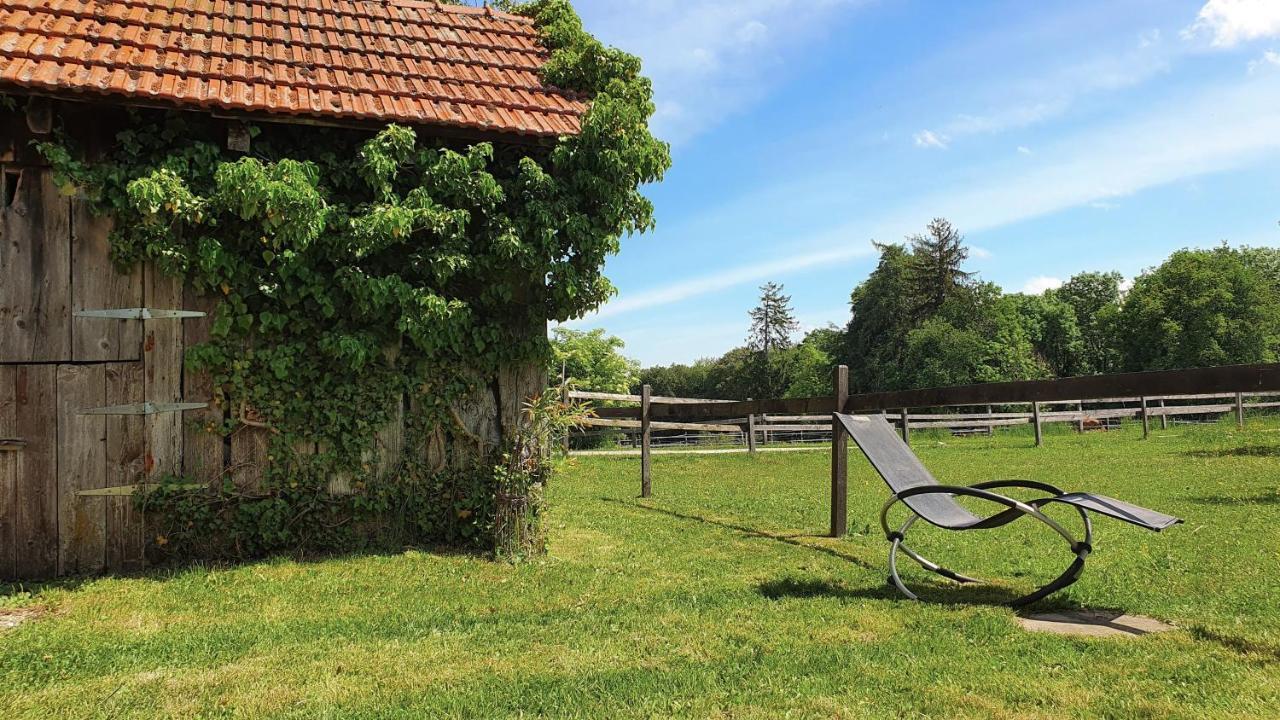 Guesthouse La Moliere, 3 Bedrooms, Private House, Horse Farm, Full Nature Murist Dış mekan fotoğraf